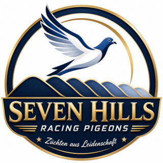 SEVEN HILLS racing pigeons
